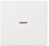 GIRA Abdeckung Kontrollschalter System 55, Standard 55, E2, Event, Event Klar, Event Opak, Esprit,