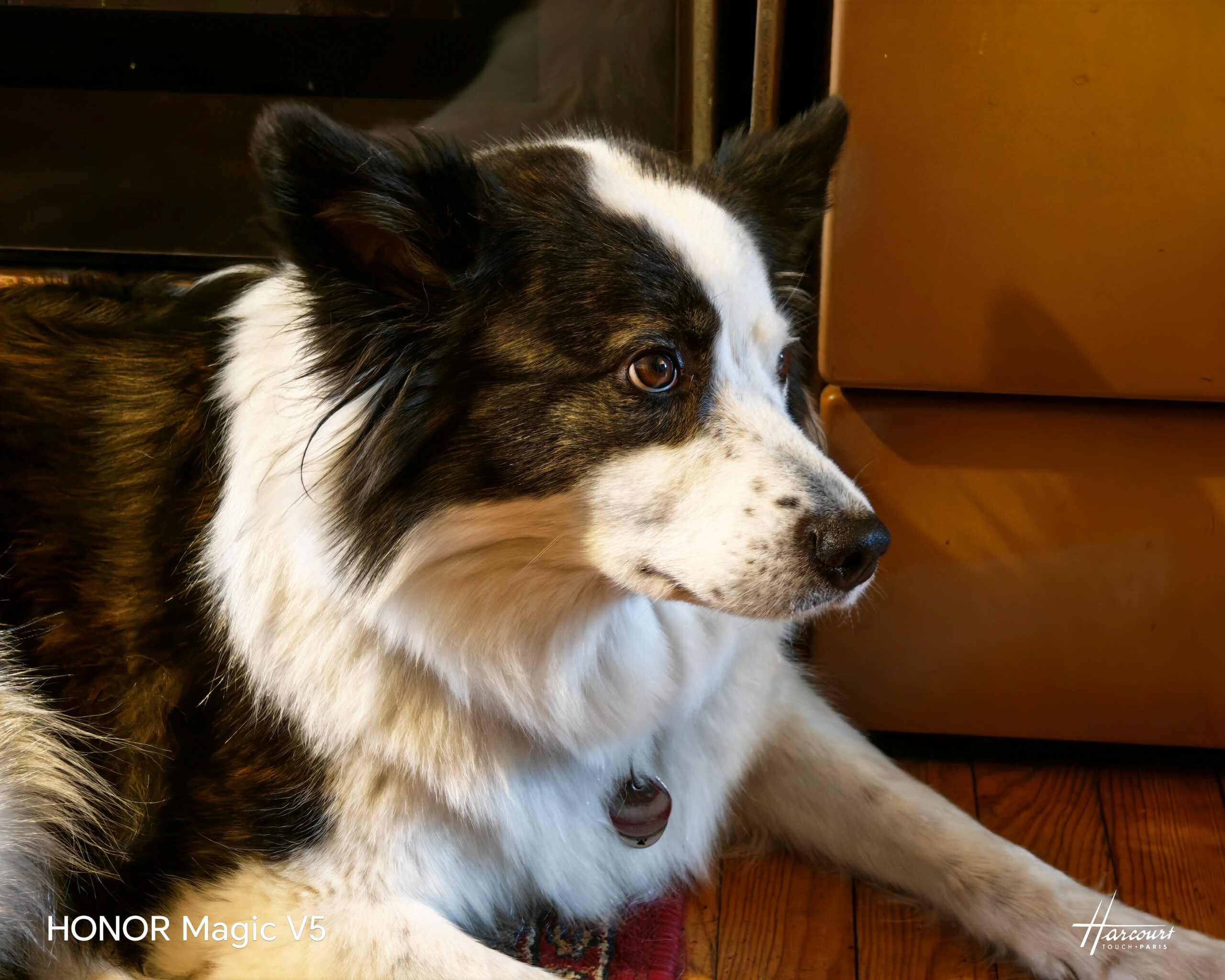 HONOR Magic V5 - Nahaufnahme