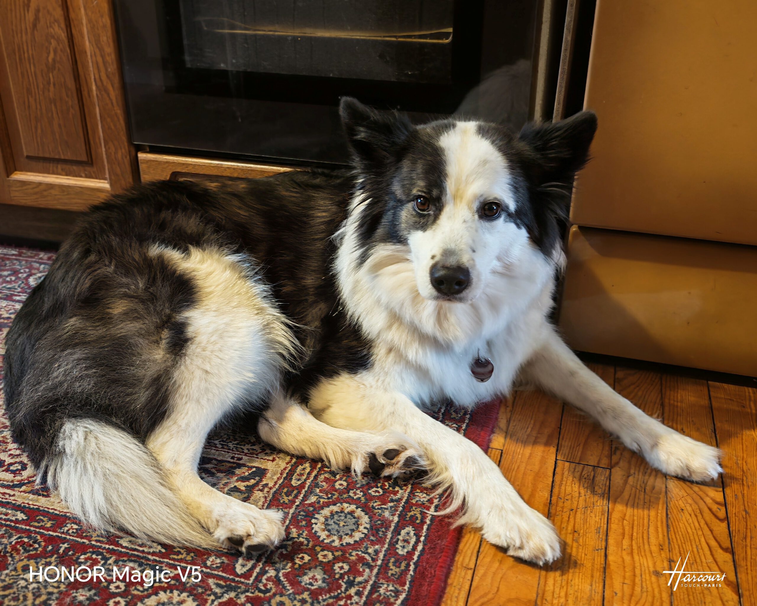 HONOR Magic V5 - Portrait bei Tageslicht