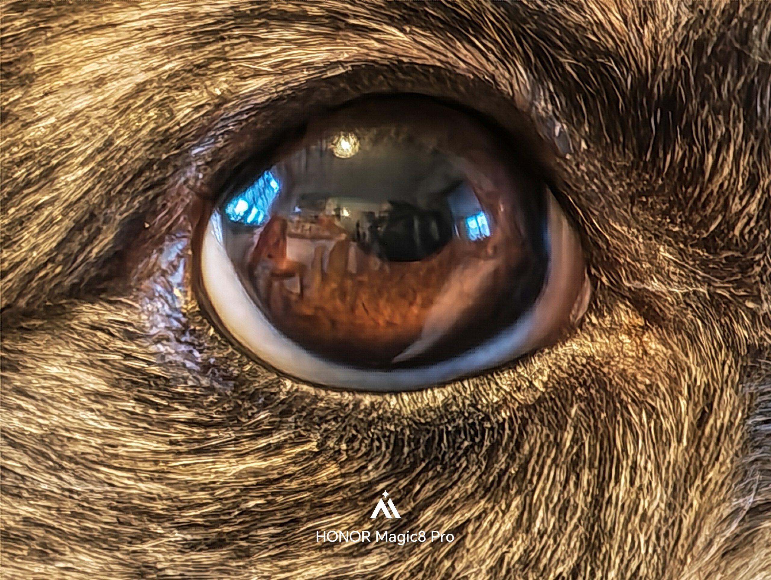 HONOR Magic 8 Pro - Nala, man sieht mich im Auge das Bild machen